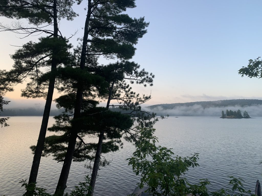 Morning mist over the lake